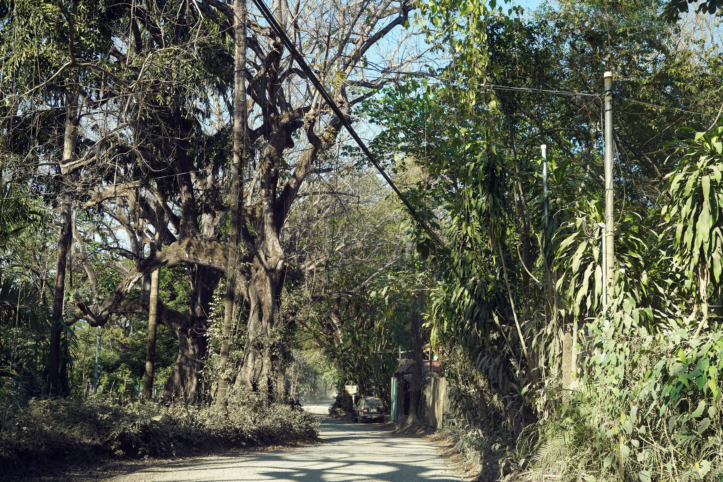 Costa Rica - Février 2025